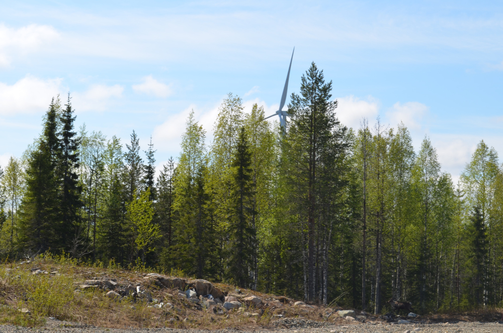 Metsää, jonka takaa näkyy tuuliturbiini.