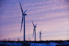 Three windmills, purple sky and forest line in the background.